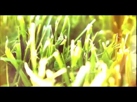 Olderic & Peter Pardeike - Connaisseur [Video]