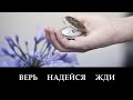 Верь, Надейся, Жди _ христианские песни (клип) 