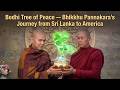 Bodhi Tree of Peace — Bhikkhu Pannakara’s Journey from Sri Lanka to America