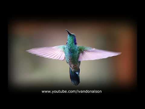 ESCUCHA ESTO Y TODO ESTARA BIEN - TODO ESTA BIEN EN MI MUNDO - EFECTOS INMEDIATOS