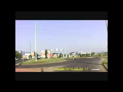 Gólya a Baumaxnál elsőbbségadás neki kötelező