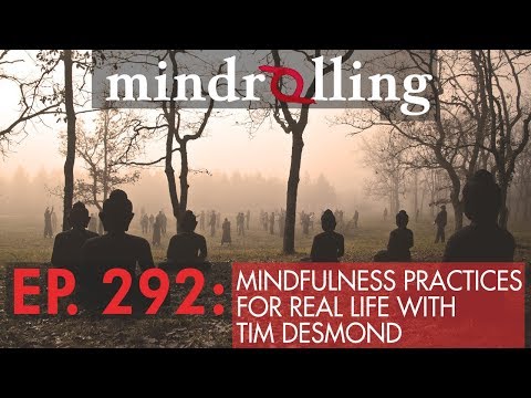 Mindrolling – Raghu Markus – Ep. 292 – Mindfulness Practices for Real Life with Tim Desmond