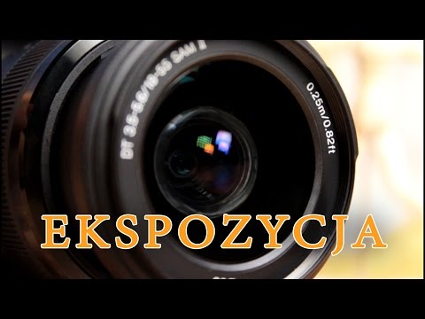 Białko trzęsie celu zwiększenia masy mięśniowej Trening mięśni pleców dla osób starszych