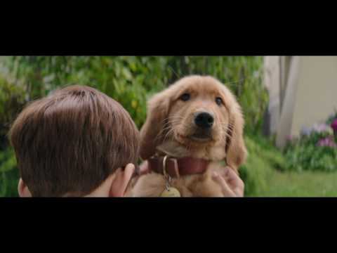 MES VIES DE CHIENS - Extrait - "Bailey, Bailey, Bailey" - VF