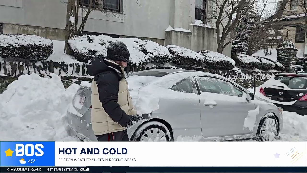 Thumbnail for Star Boston Seasonal Update