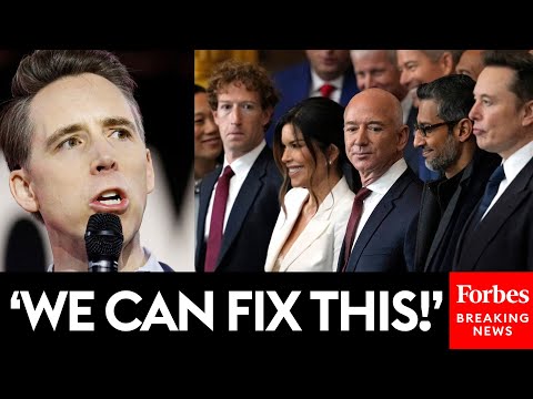 Josh Hawley Expresses Concern Over America's 'Somewhat Suspect' Antitrust Law