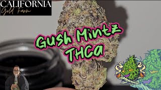 Gush Mintz | California Gold Farm