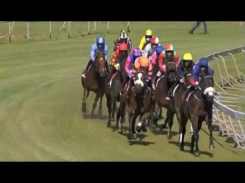 CAPTAIN`S RANSOM - 2020 World Sports Betting Cape Fillies Guineas