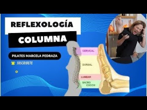 REFLEXOLOGÍA PARA CUELLO Y ESPALDA