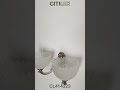 Бра Citilux Севилья CL414323 бронза