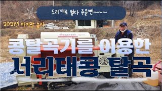 서리태콩 도리깨로 탈곡하지 마세요 힘들어죽어요 | 엔피오농장 올해 마지막 농사 | 서리태콩 탈곡