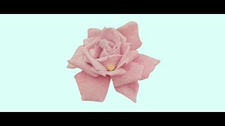 Acidclank "Lionel"【MV】from 2nd SG "Lionel" 3P3B-83