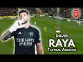 How GOOD is David Raya? ● Tactical Analysis | Skills (HD)