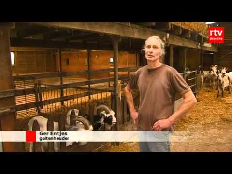 Drentse geitenhouderij De Kruidenwei in Nooitgedacht wint culinaire prijs