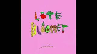 MALIA  ft. Syd - Dirty Laundry