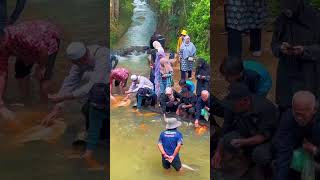 Download lagu Tempat Menarik Di Kundasang - Wajib Pergi! mp3 Download lagu Tempat Menarik Di Kundasang - Wajib Pergi! mp3