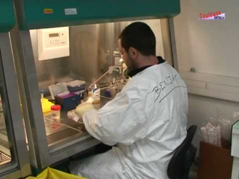 Benda Desault per larticolazione della spalla per comprare Nastratura con epicondilite mediale del gomito