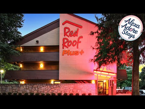 Red Roof PLUS+ Atlanta - Buckhead | Atlanta (GA), United States | Hotel Review 🛏️
