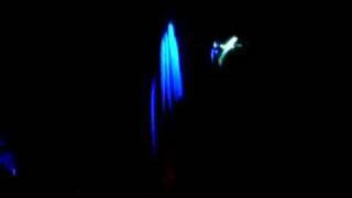 The Receiving End of Sirens - TREOS - Swallow People Whole