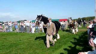 preview picture of video 'The In Hand section of the SW UK Heavy Horse Championships, 2009'