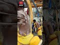 பறவை காவடி வால்பாறை Valparai Paravaikavadi Saravananvlogs