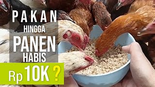 Download lagu Biaya Pakan Hanya Rp 10 ribu Pembesaran Sampai Panen, Benarkah ? mp3