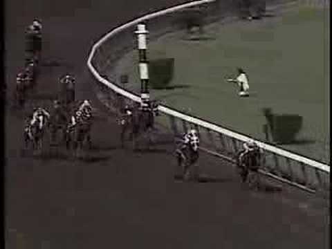 1989 Breeders' Cup Sprint