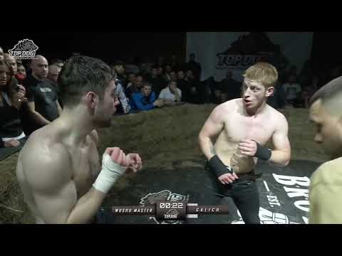 BEST OF TOP DOGS FC I Bare Knuckle Fight Russian fight