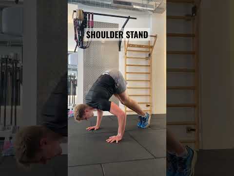Stubbsy - Shoulder Stand - Misc Originals