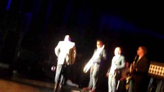 MADNESS TARZANS NUTS BERLIN