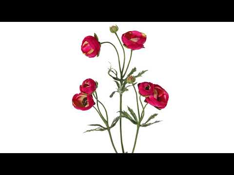 Amaranth-Olive Ranunculus Deluxe Silk Flower 65cm