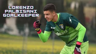 Lorenzo Palmisani | Frosinone - Best Saves by the Italian Goalkeeper