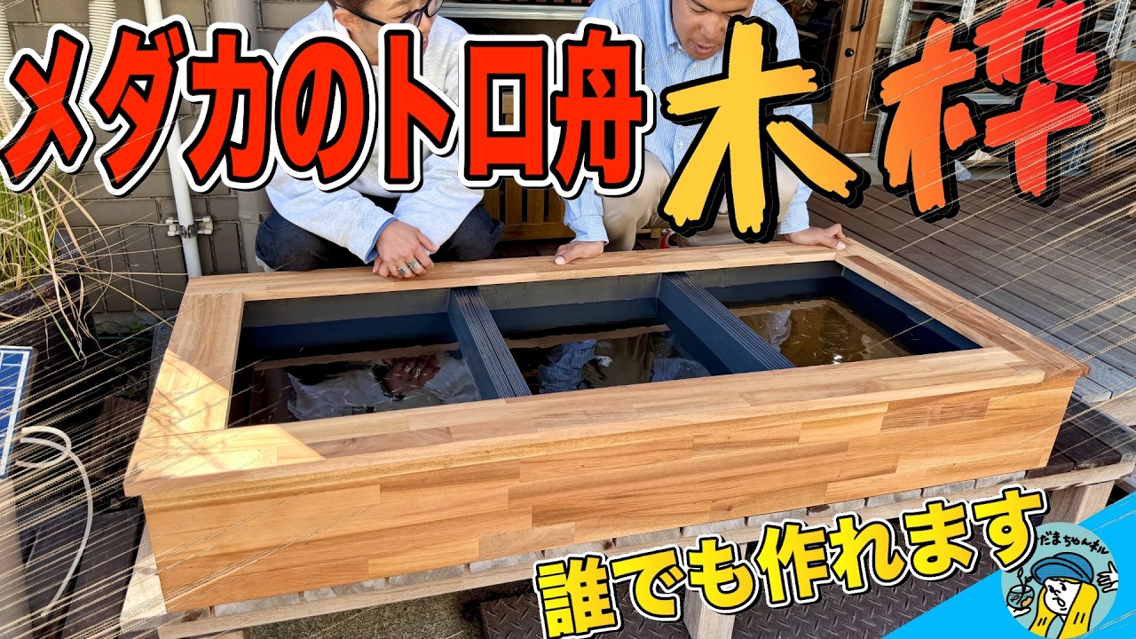 【メダカ】トロ舟の木枠を作る！（誰でも作れる木枠でめだかをお洒落に飼ってみよう）