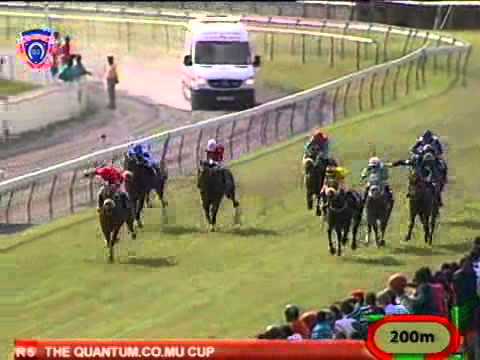 Lucky Valentine vs Always Flirting