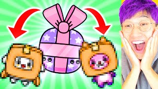 vídeos do toca life