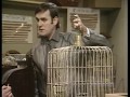 Monty Python - Pet Shop - Dead Parrot
