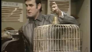 Music video thumbnail preview for Monty Python - Pet Shop - Dead Parrot by Monty Python