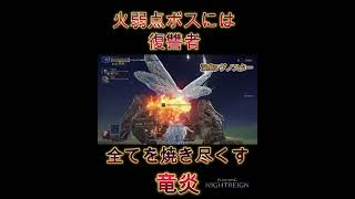 【エルデンリング ナイトレイン】竜炎って強いのか！？火弱点ボスには復讐者ちゃん #復讐者 #竜餐 #竜炎 #ナイトレイン #グノスター #shorts