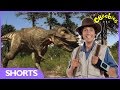 Tyrannosaurus Rex Facts Andy S Dinosaur Adventures CBeebies