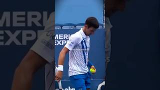 Novak Djokovic pagou caro por sua frustração! 🤯