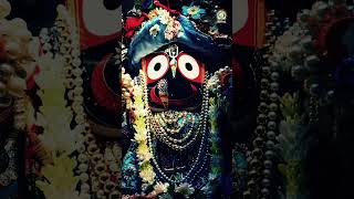 Krishna Janam Le Yadi Aaj, Pehchanoge Kaise Aap | Goswami Tulsidas Ji's Visit to Jagannath Temple