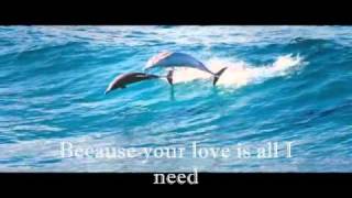 Juan Luis Guerra CARIBBEAN BLUES with lyrics