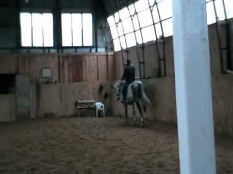 SOLD. by Concetto x Celano