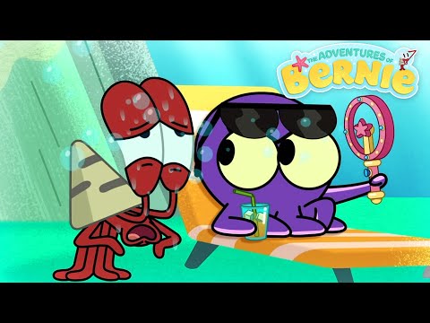 NEW The Adventures of Bernie 💕 THE BEST FRIENDS - Zig & Sharko - Compilation Cartoons for Kids