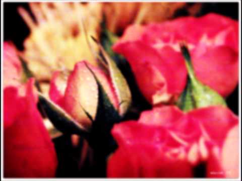 M'Barka Ben Taleb -- I'm a Fool to Want You (fr. JIucC)