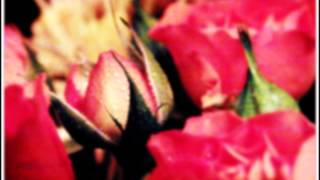 M'Barka Ben Taleb -- I'm a Fool to Want You (fr. JIucC)