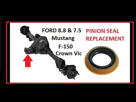 Pinion seal replacement. Fix leaking rear diff Ford Mustang GT, Mach 1, Bullitt, Cobra, F150 8.8