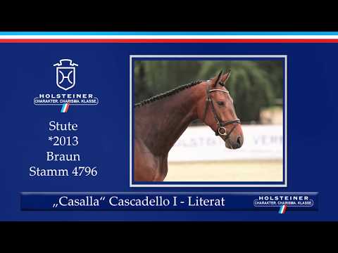 Holsteiner Sommerauktion | Nr. 7 - Casalla v. Cascadello I - Literat