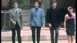 The Seekers - Someday One Day