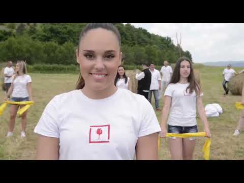 RAZBIJAČI ČAŠA GOLUB (video audio)